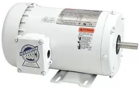 48ZJ91 DAYTON Washdown Motor #2