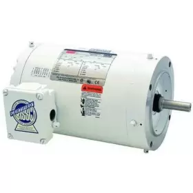 48ZJ94 DAYTON Washdown Motor Tenv Rpm