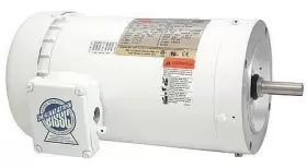 48ZJ97 DAYTON Washdown Motor #2