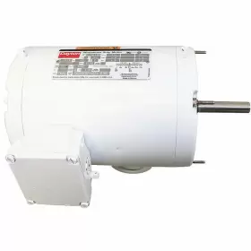 5M061 DAYTON Washdown Motor