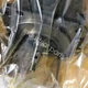1PCS FANUC A06B-0075-B303 Servo Motor A06B0075B303 Brand new Fedex or DHL