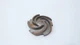 Goulds 3196 ST 5-vane Pump Impeller 7in