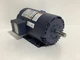 Leeson U247 Electric Motor, 145TTDR6002AA, 3 HP 3500 Rpm 3PH 230/460 Volt 145T