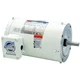 Dayton 48Zj94 Washdown Motor, Tenv, 1 Hp, 1750 Rpm, 56C