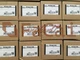 1PCS VEXTA PK266-02B Motor New