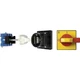Kraus & Naimer KG250.T203/13.VE Door Lock Disconnector 250 A 1 x 90&deg; Ro