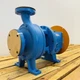 Goulds 3196 2x3-8 ANSI End-Suction Pump, DI/316SS, 200 GPM, 250 ft, 3560 RPM