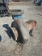 6x8-15 Goulds 3196XLT CF8M Pump
