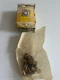 NEW SEALED IN BAGS  Square D 9998SL4 Size 2  Contact Kit 3 Pole  9998 SL4