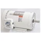 DAYTON 5XAT4 Washdown Motor,2 HP,1750,145TC,230/460V 5XAT4
