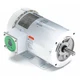 Leeson 119480.00 Washdown Motor, 1-1/2Hp, 3-Phase, 56C Frame