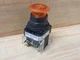 Allen Bradley 800H-FRXTQ24AA1 Push/Pull Illum. Switch W/800T-XA1 (Pack of 3)