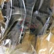 NEW ONE FANUC servo motor A06B-0075-B303