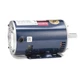 LEESON 145TTDR6133 GP Motor,2 HP,1,750 RPM,230/460V AC,145T 44Z035