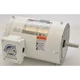 DAYTON 1TTB5BG Washdown Motor,3/4 HP,1745,56C,230/460V 1TTB5