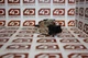 6SL3162-2MA00-0AA0 | Siemens | Sinamics S120 Power Connector, Opened