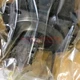 NEW 1PC FANUC servo motor A06B-0075-B303