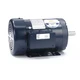 Leeson 143Ttfr15642 Three-Phase General Purpose Motor, 1 Hp, 143T Frame,