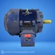 Marathon VA324TTFCD6526BB M 324T Frame Severe Duty Motor FNFP