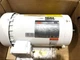 New Dayton 48ZJ93 2HP TEFC Washdown Motor 230/460V 1750rpm 56HC Frame