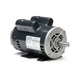 Marathon CG381 Electric Motor 2 HP 1725 Rpm 1PH 115/208-230 56H 5KCR49WN0270T