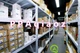 1pc EE-SPX613 Omron Brand New EE-SPX613