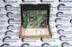 GE General Electric 531X139APMAMM7 F31X139APMALG2 Board Card Module OPEN BOX