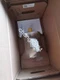 1PCS Siemens servo motor 1FK7060-2AF71-1RG2 new via FedEx or DHL