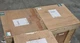 New CKD AX4150TH-DM20-EB-P3-U0 Absodex Direct Drive Servo Motor