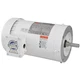 Dayton 48Zj95 Washdown Motor, Tefc, 2 Hp, 3450 Rpm, 56C